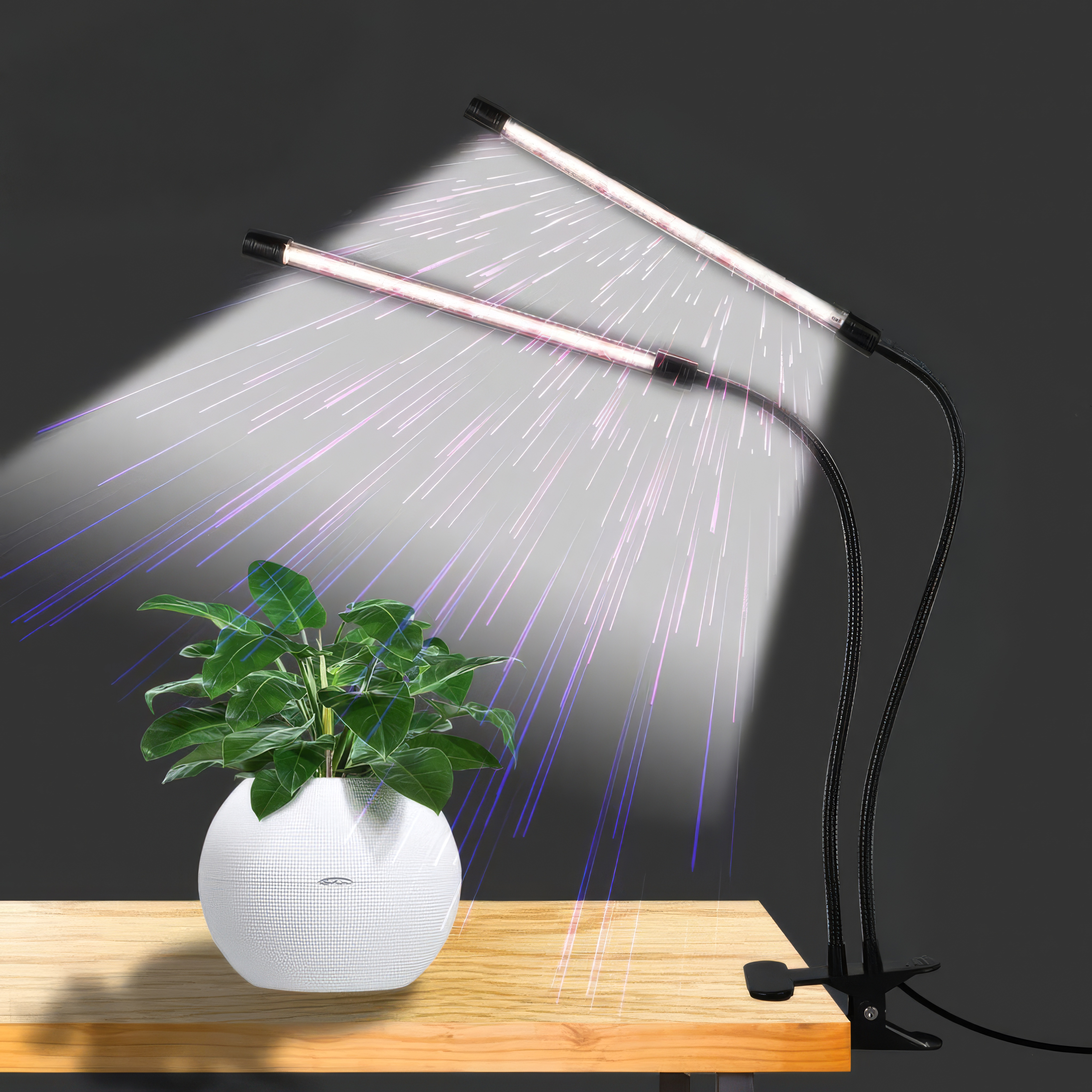 Givra – Pflanzenliebhaber LED-Wachstumslicht