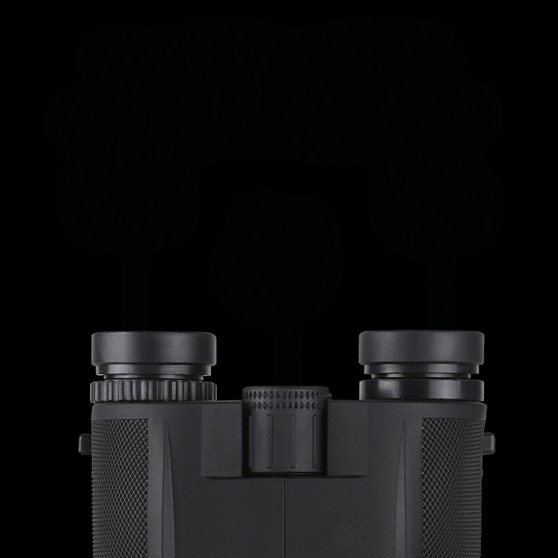 Ferro – Outdoor-Enthusiasten Fernglas – Kompakt und 10-fach Vergrößert für Klare Naturansichten