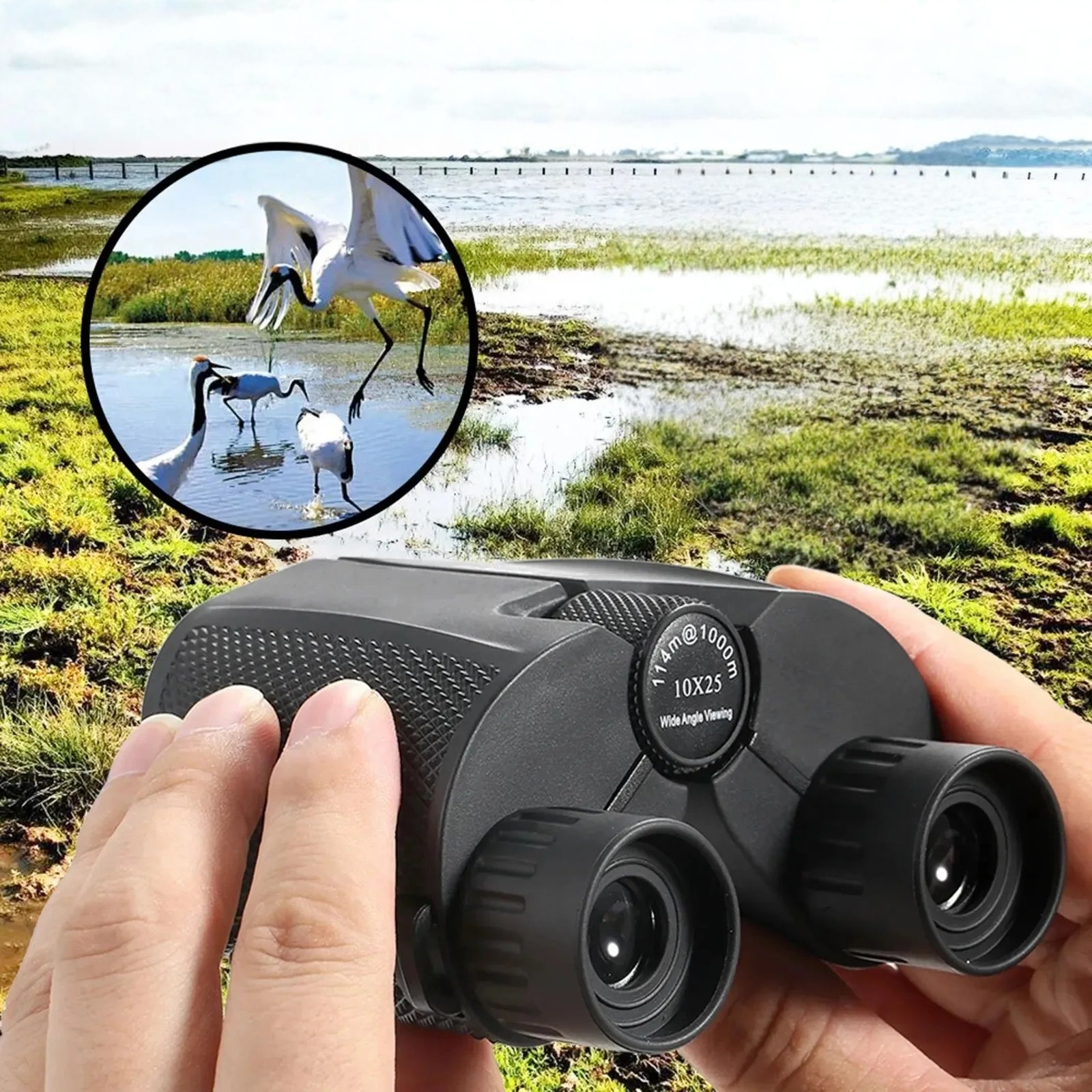 Ferro – Outdoor-Enthusiasten Fernglas – Kompakt und 10-fach Vergrößert für Klare Naturansichten
