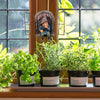 Givera Dwarf Freude – Wetterfeste Harzfigur für den Garten | Zwerg - Givera DE