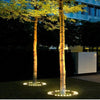 Givera LED - Baumscheinwerfer – Warmes Licht & Raffiniertes Design - Givera DE